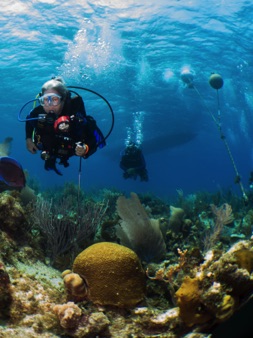 Over the reef